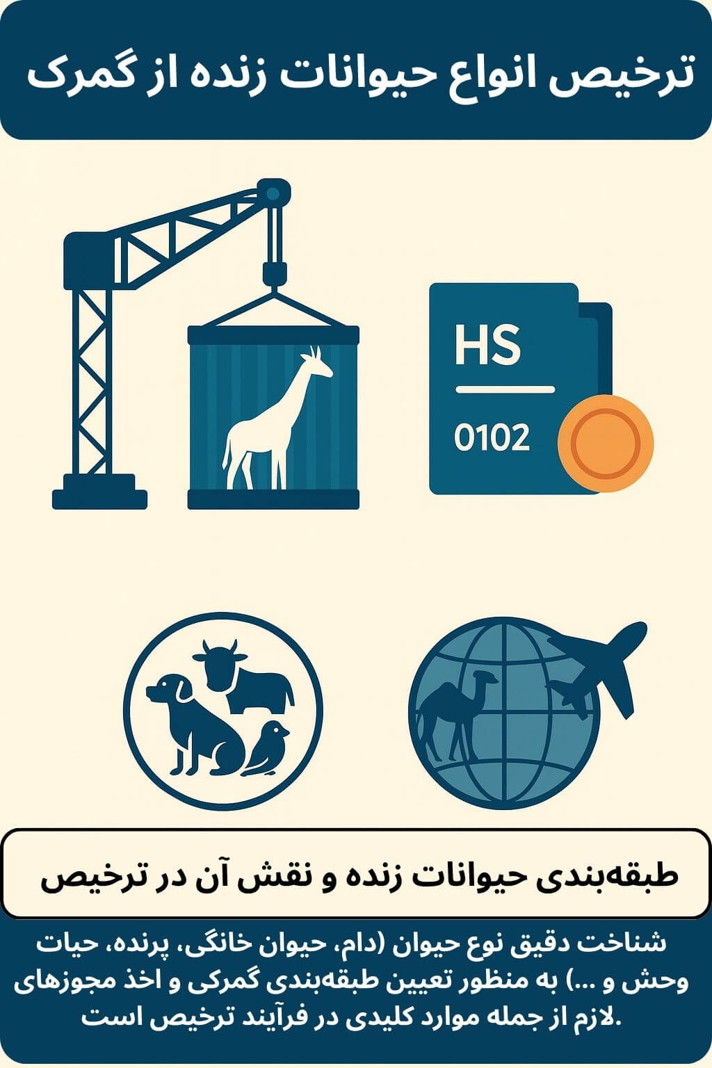 توضیح مراحل ترخیص این محصول