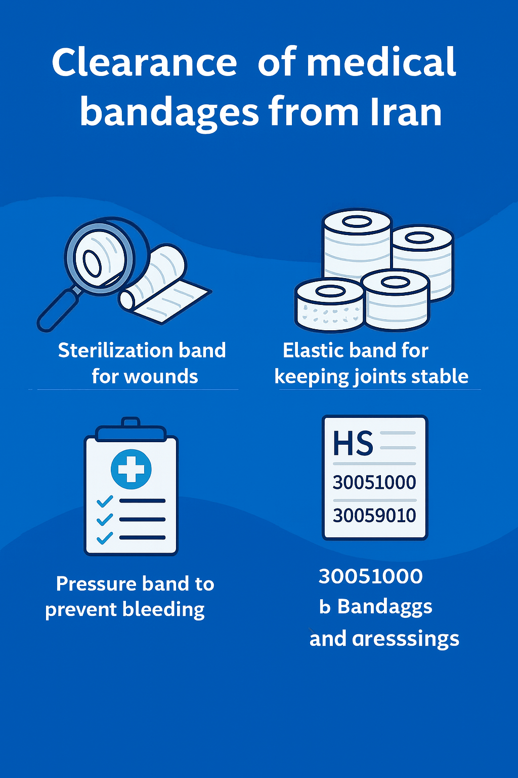 Customs clearance by Saba Tarkhis