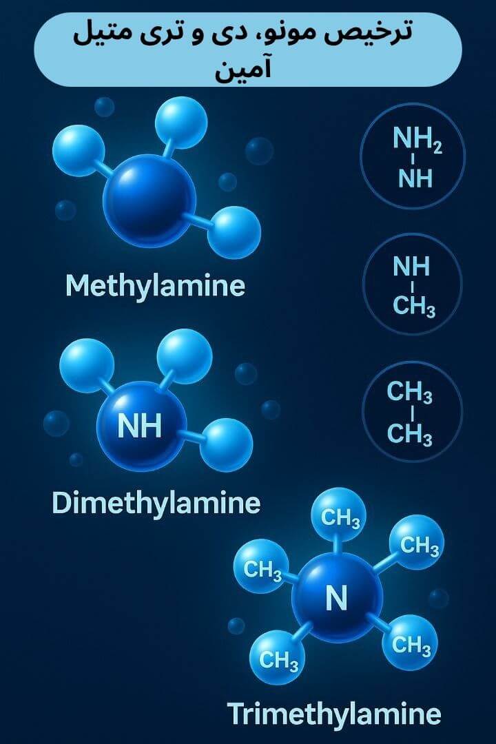 توضیح مراحل ترخیص این محصول توضیح مراحل ترخیص این محصول