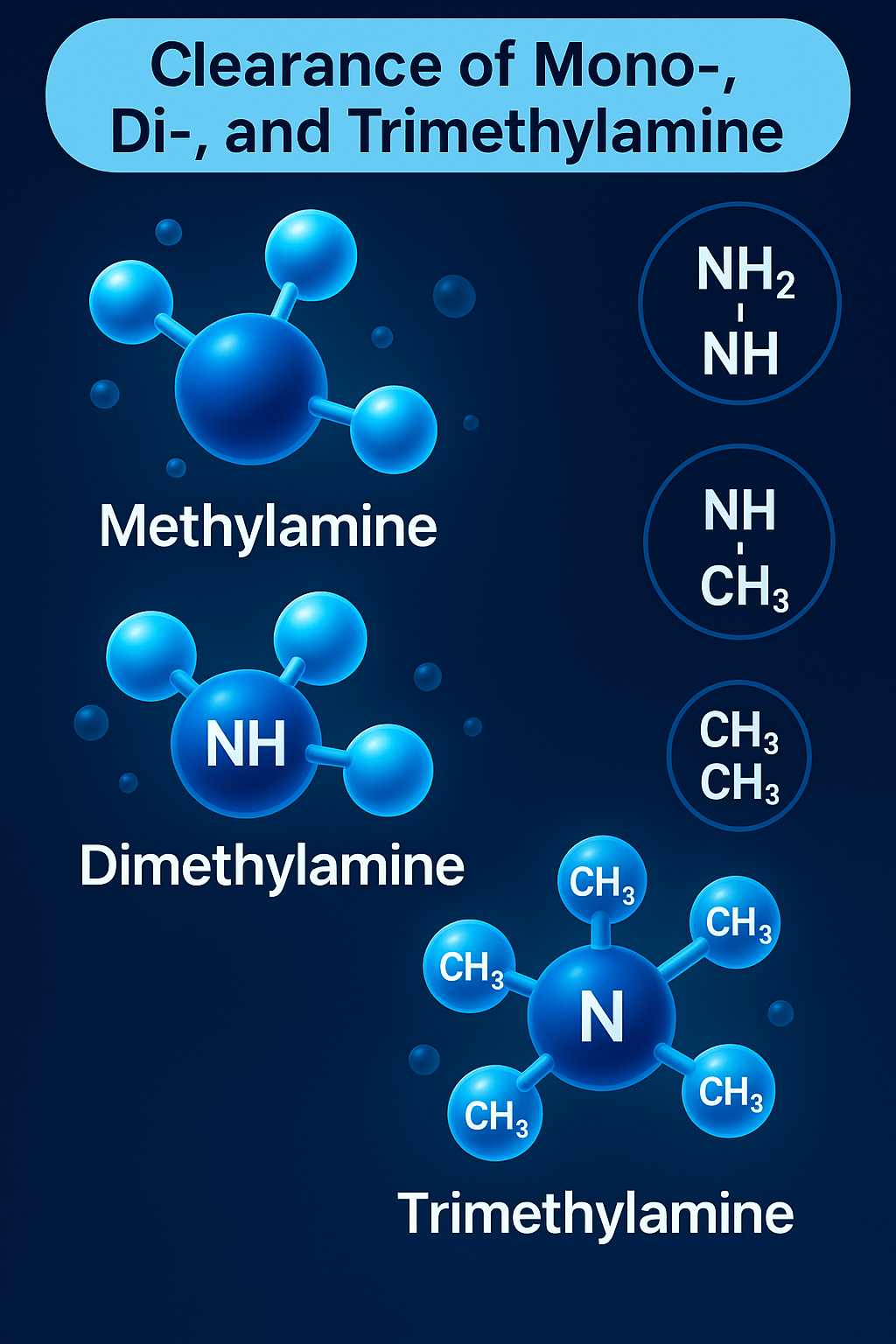 توضیح مراحل ترخیص این محصول توضیح مراحل ترخیص این محصول
